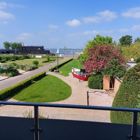 Haus Strandglueck - Urlaub Mit Blick Auf Den Duemmer See Lägenhet Lembruch Exteriör bild